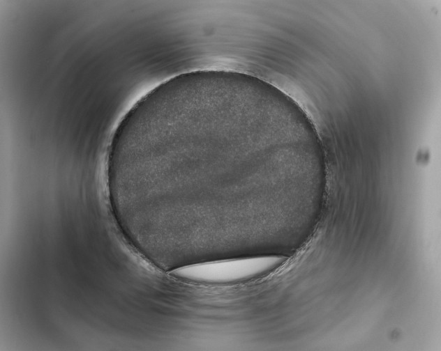 X0000101991120200808151418