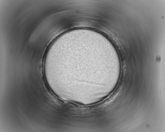 X0000101991121200808151418
