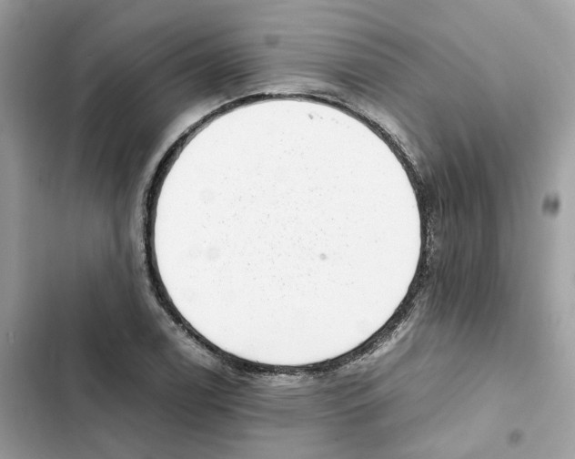 X0000101991122200808151418
