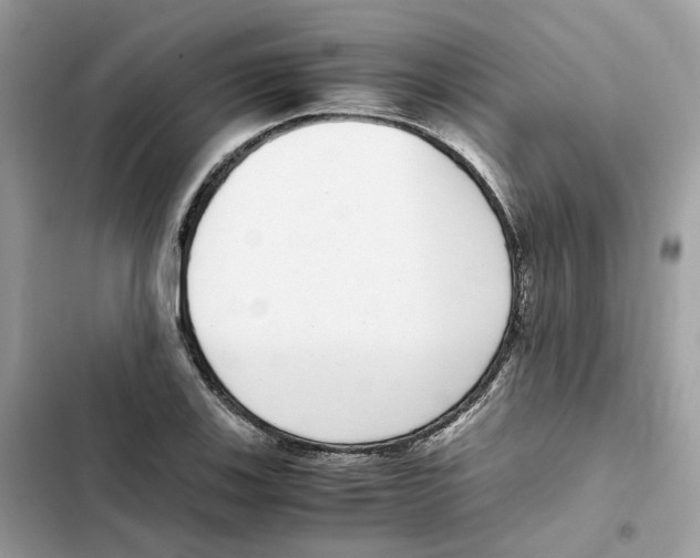 X0000101991123200808151418