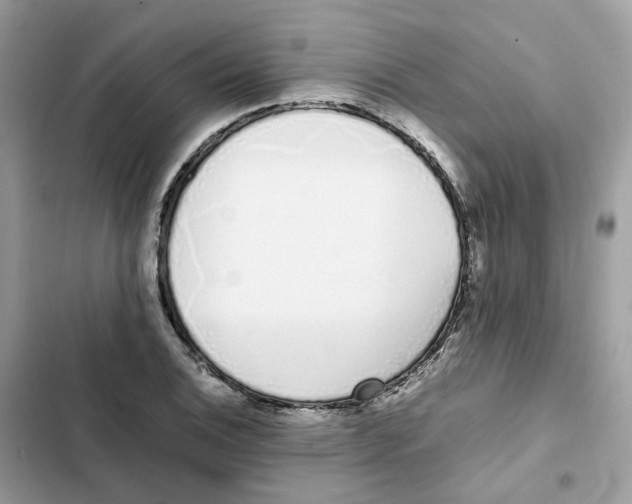 X0000101991124200808151418