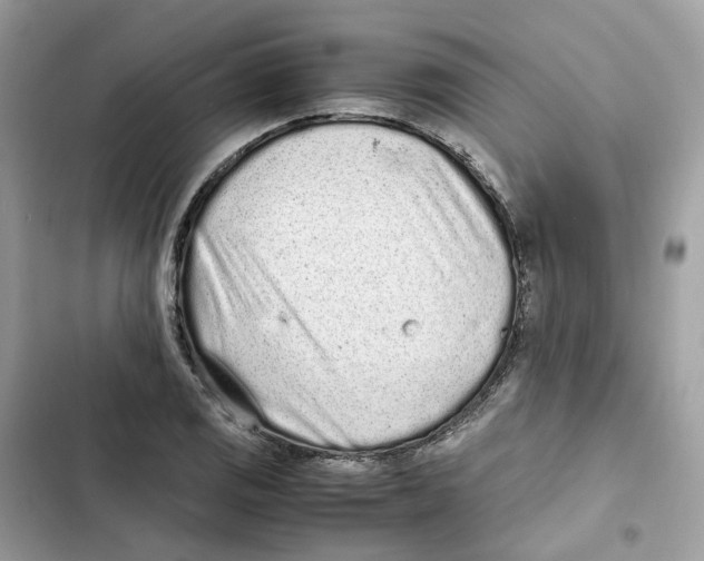 X0000101991125200808151418