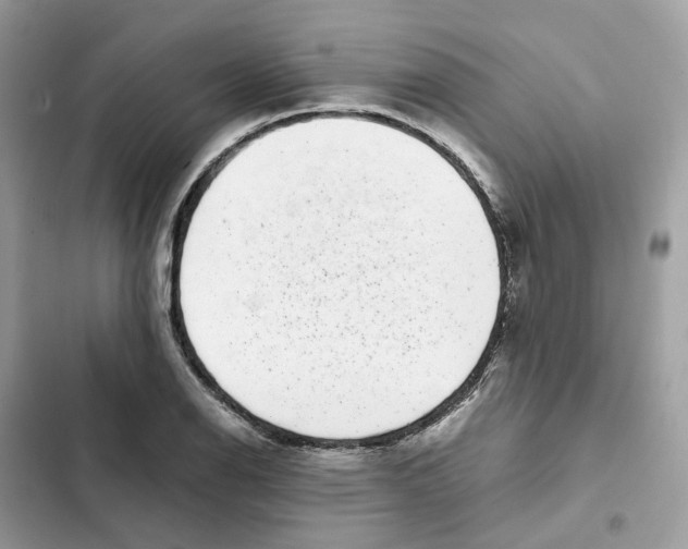 X0000101991126200808151418