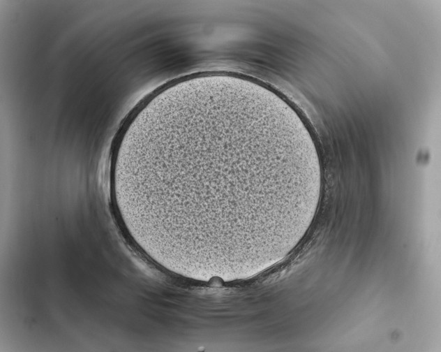 X0000101991127200808151418