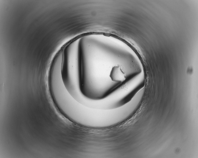X0000101991128200808151418