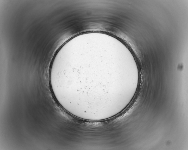 X0000101991129200808151418