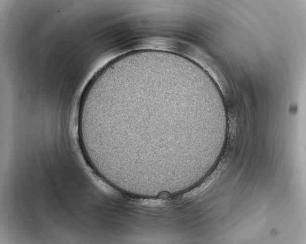X0000101991131200808151418