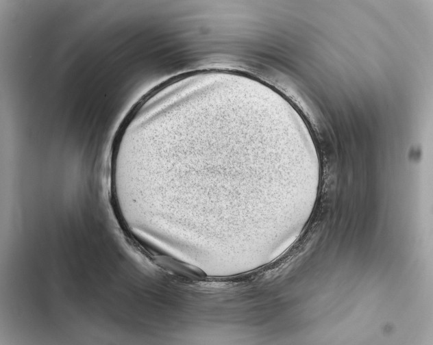 X0000101991132200808151418