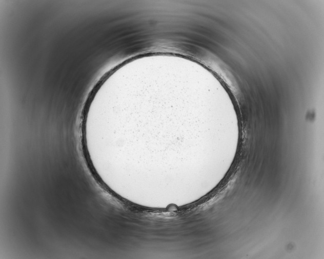 X0000101991133200808151418