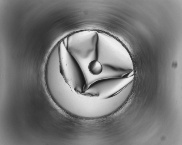 X0000101991134200808151418