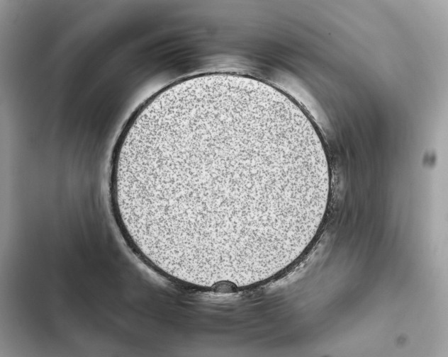 X0000101991135200808151418