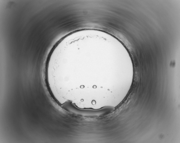 X0000101991136200808151418