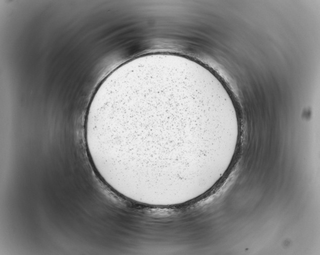 X0000101991137200808151418