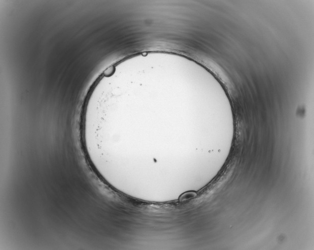 X0000101991138200808151418