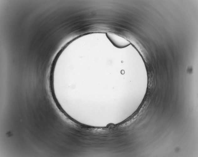 X0000101991139200808151418