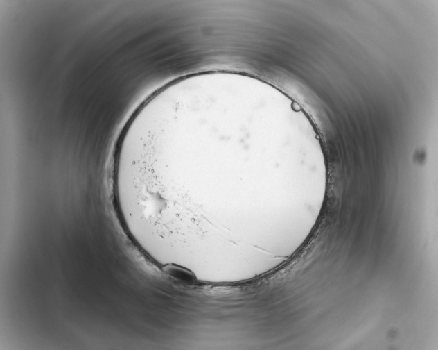 X0000101991140200808151418