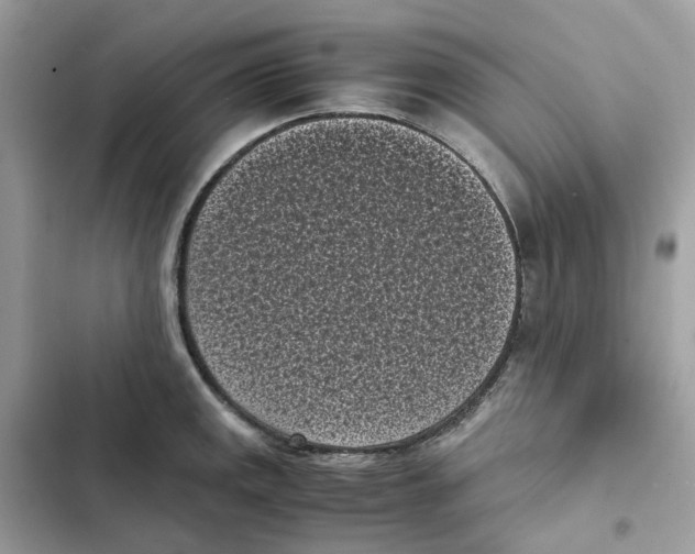 X0000101991141200808151418