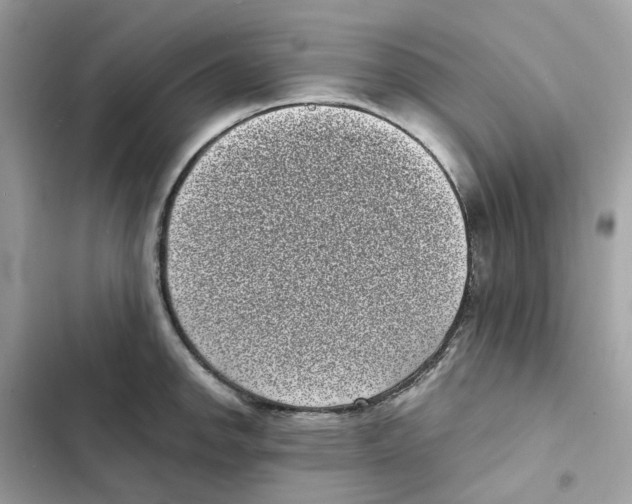 X0000101991142200808151418