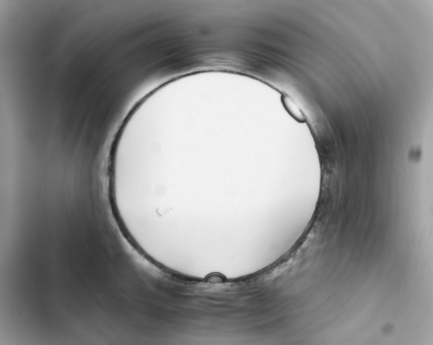 X0000101991143200808151418