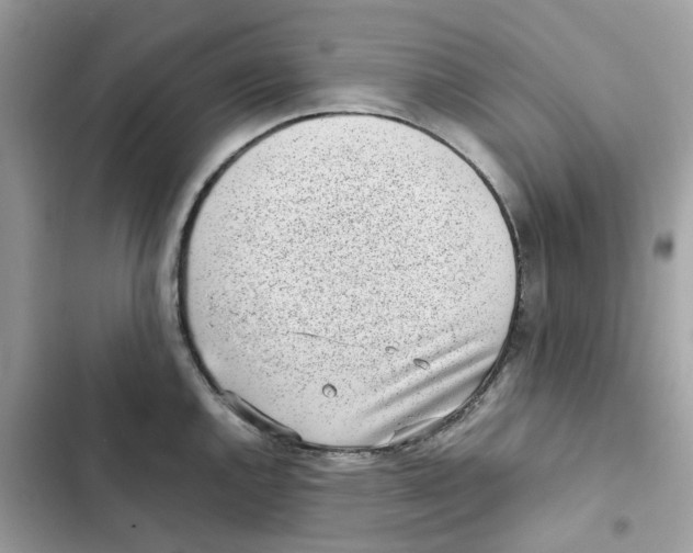 X0000101991144200808151418