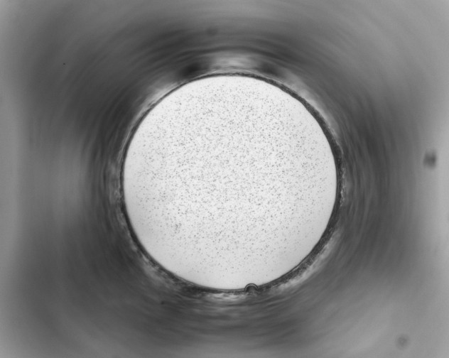 X0000101991145200808151418
