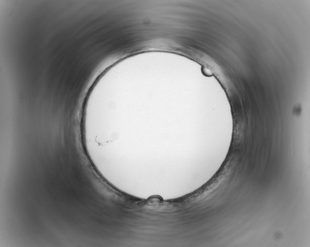 X0000101991146200808151418