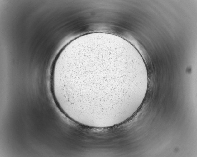 X0000101991147200808151418
