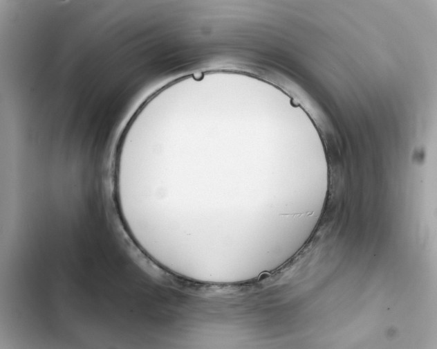 X0000101991148200808151418