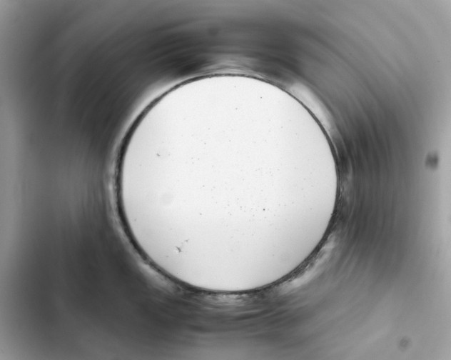X0000101991149200808151418