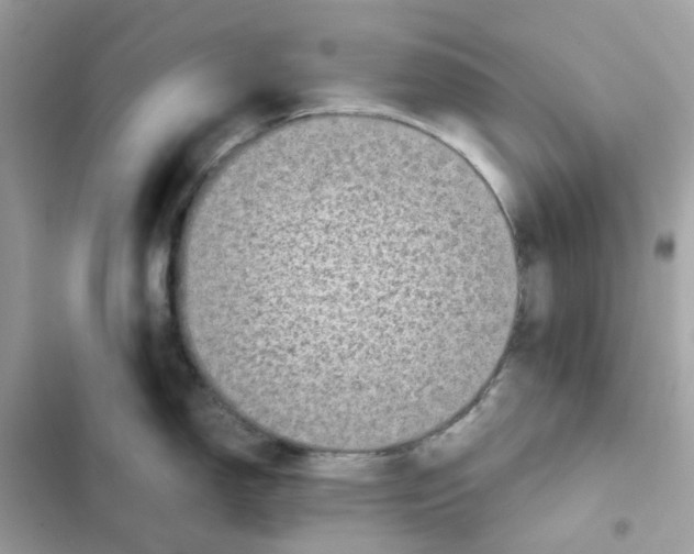 X0000101991150200808151418