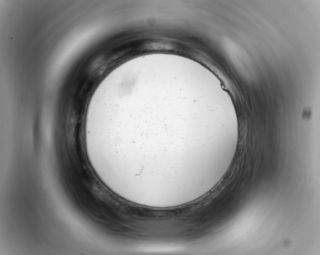 X0000101991151200808151418