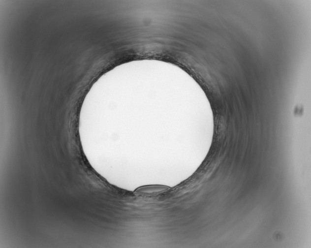 X0000101991153200808151417