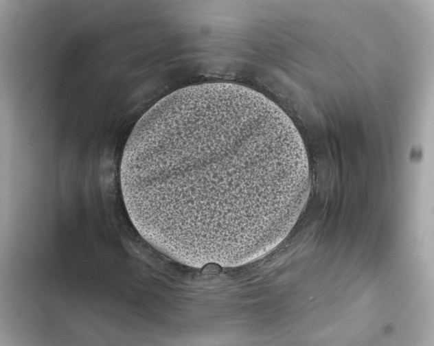 X0000101991154200808151417