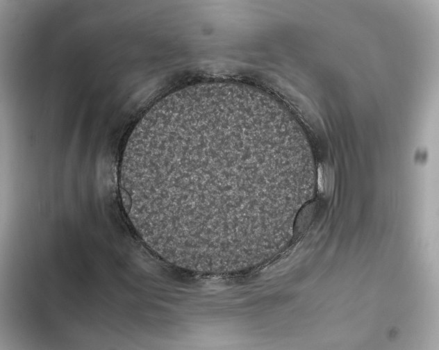 X0000101991155200808151417