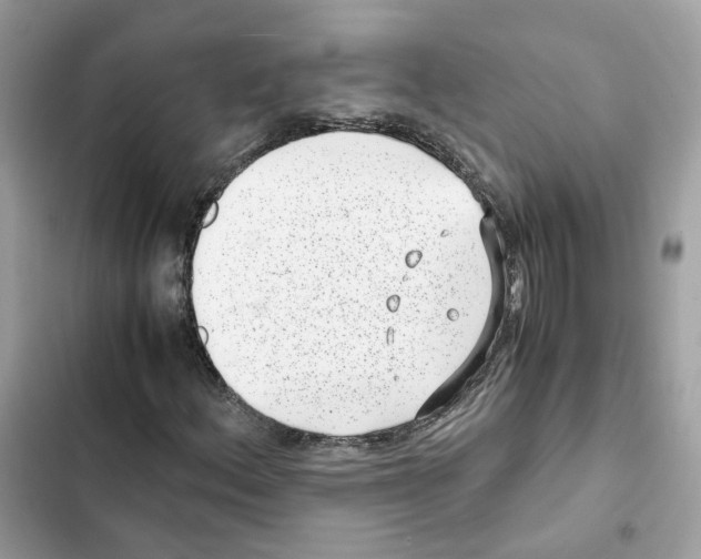 X0000101991156200808151417