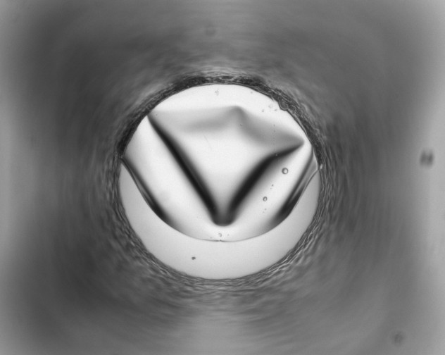 X0000101991157200808151417