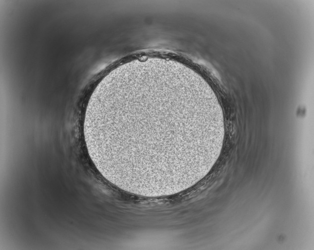 X0000101991159200808151417