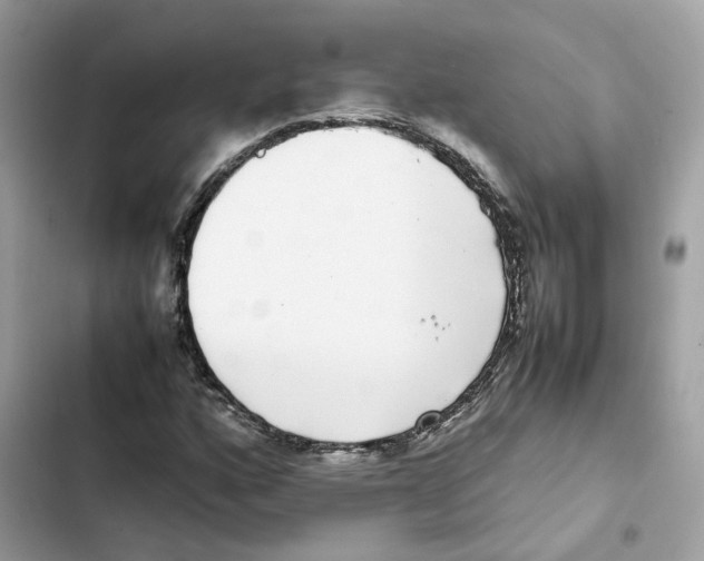 X0000101991160200808151417