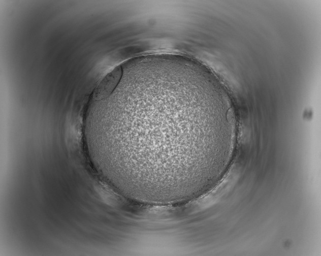 X0000101991161200808151417