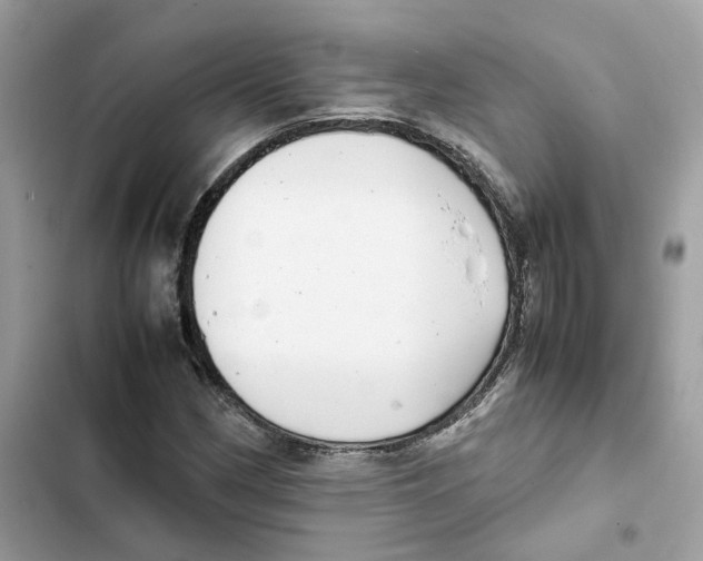 X0000101991162200808151417
