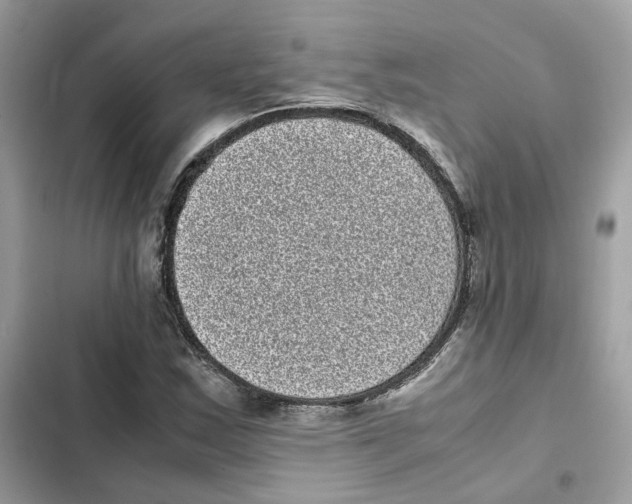 X0000101991163200808151417