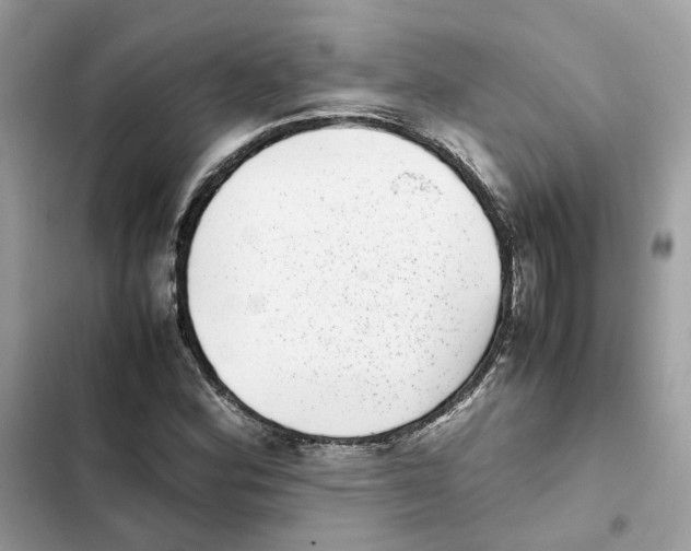X0000101991164200808151417