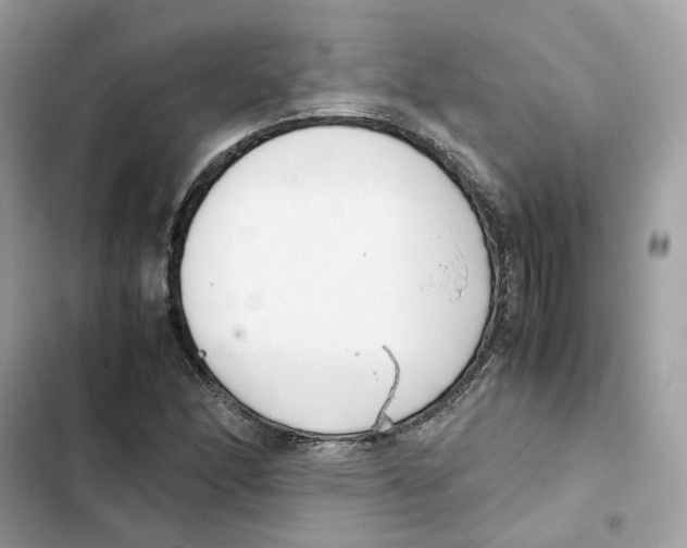 X0000101991166200808151417
