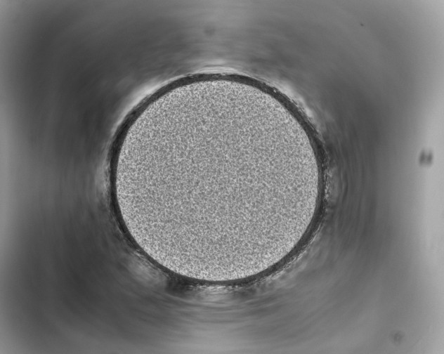 X0000101991167200808151417