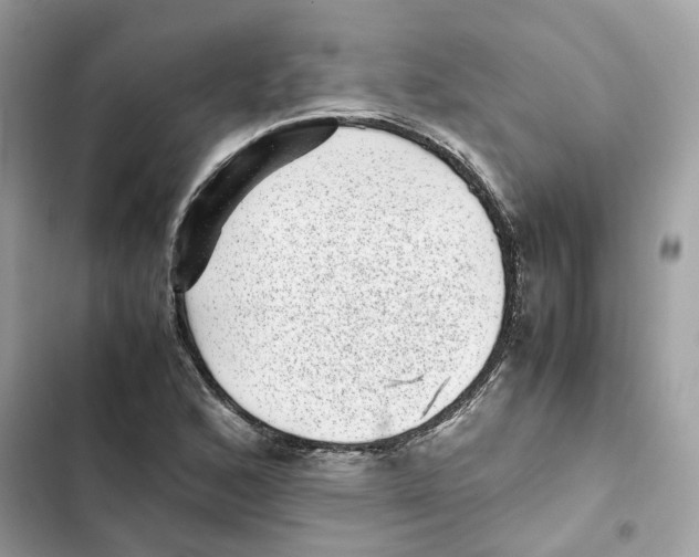 X0000101991168200808151417