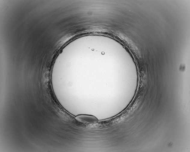 X0000101991169200808151417