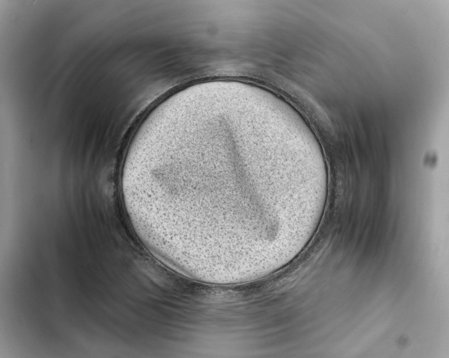 X0000101991170200808151417