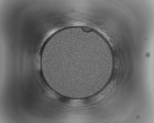 X0000101991171200808151417