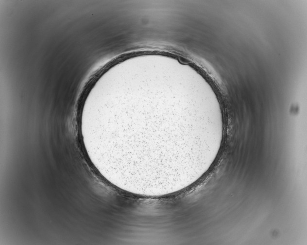 X0000101991172200808151417