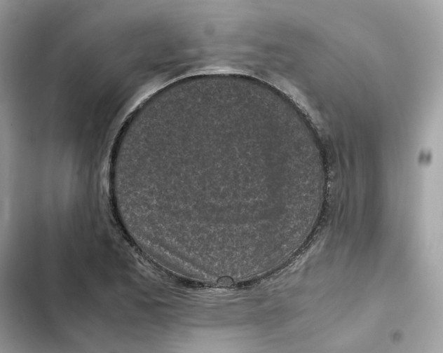 X0000101991173200808151417